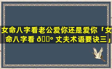 女命八字看老公爱你还是爱你「女命八字看 🐺 丈夫术语要诀三」